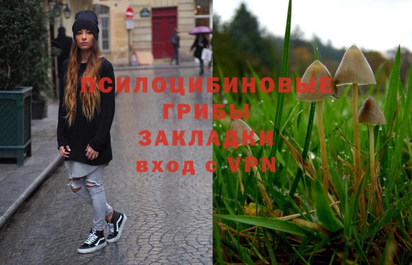 индика Баксан