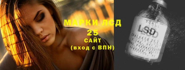 индика Баксан