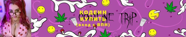 индика Баксан