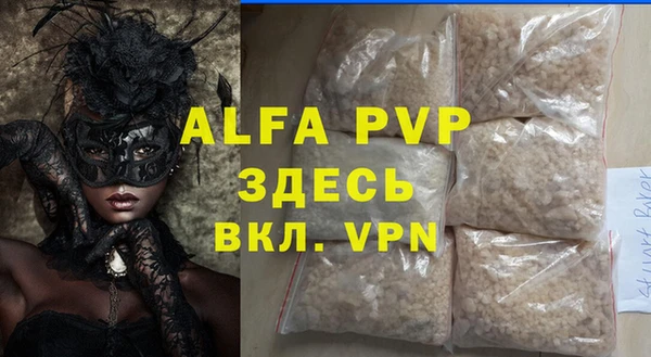 индика Баксан