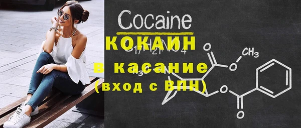 индика Баксан