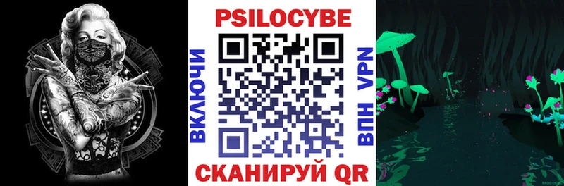 Псилоцибиновые грибы GOLDEN TEACHER  купить  цена  Петровск-Забайкальский 